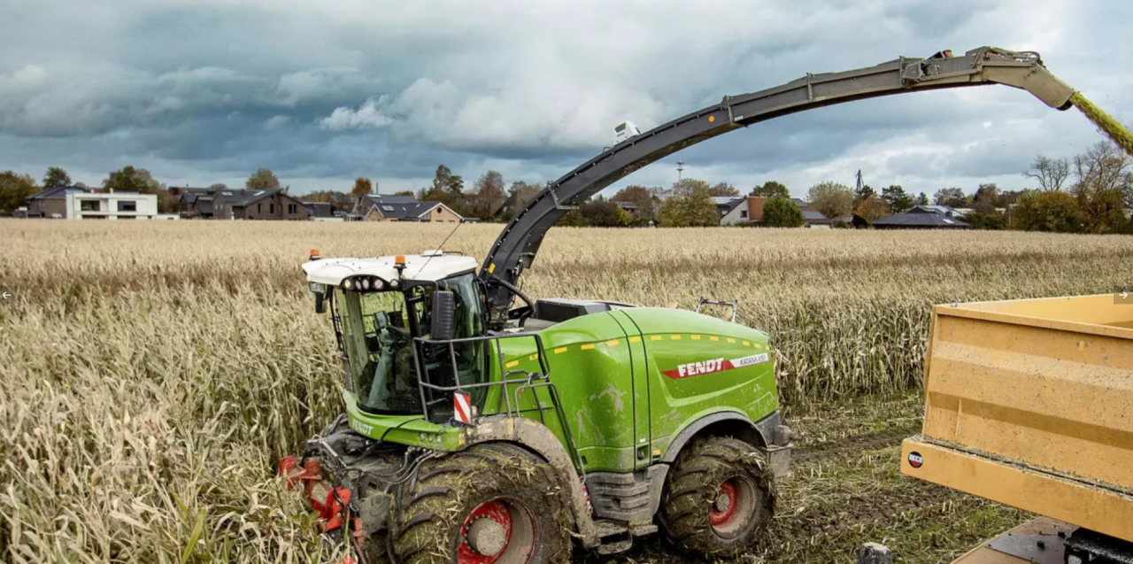 test sieczkarni polowej sieczkarni samobieżnej Fendt Katana 850, jaka jest wydajność sieczkarni Fendt Katana 850, jak sieczkarnia polowa sprawdza się w polu