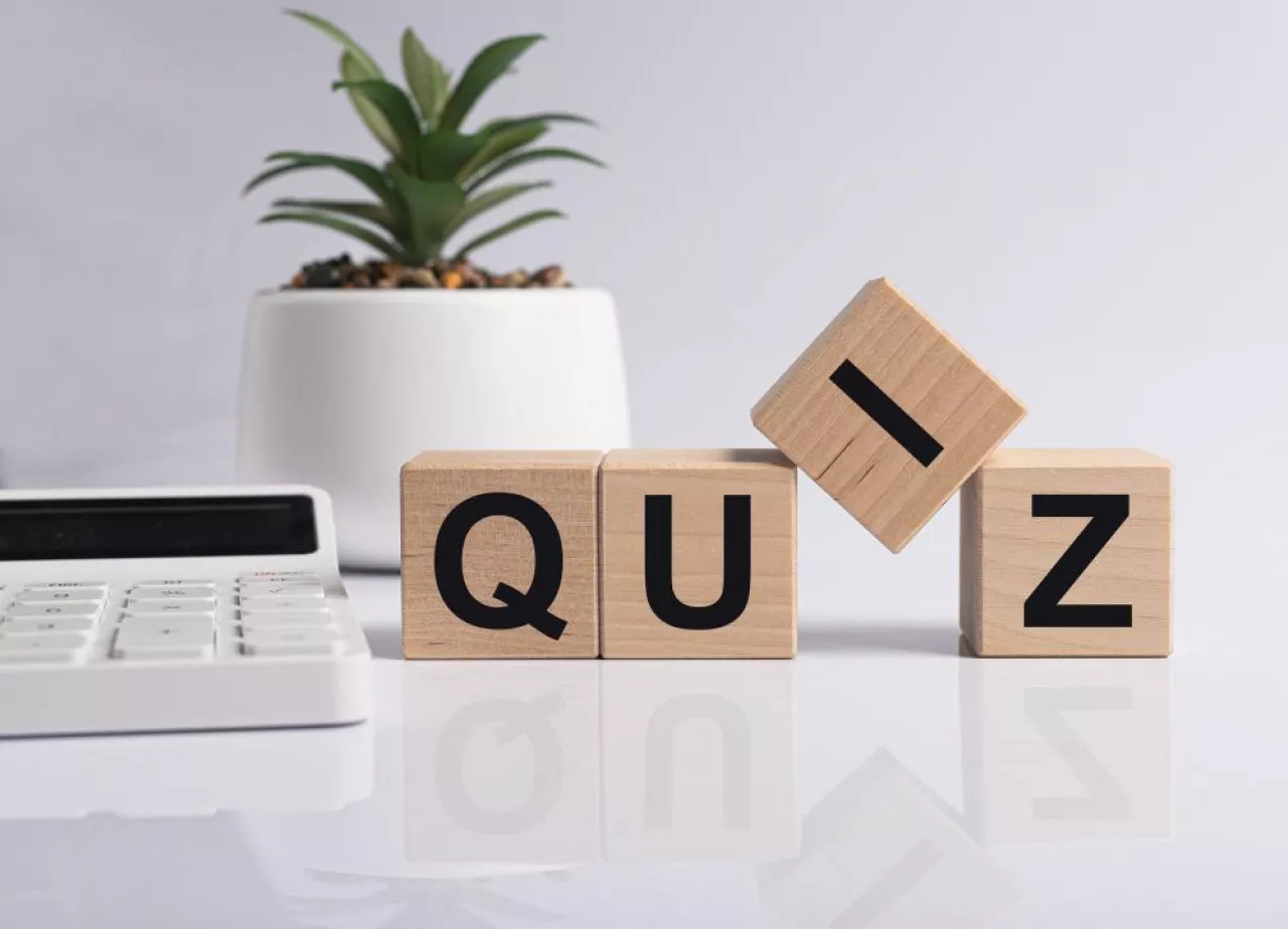 quiz profi