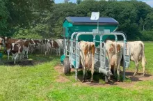 Opracowana przez Hanskamp mobilna stacja karmienia bydła o nazwie FeedStation Mobile może być dwu- lub czterostanowiskowa.