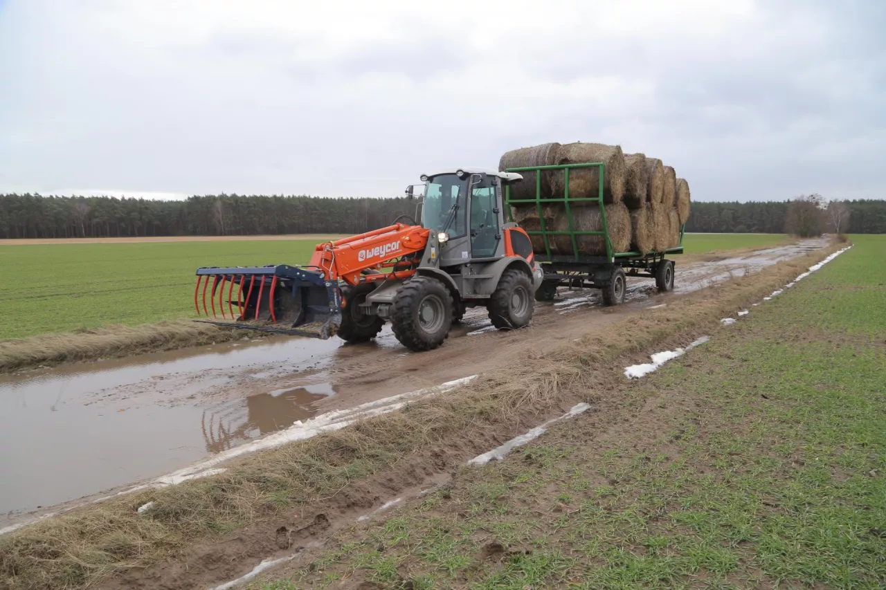 Układ hydrostatyczny ma dwa zakresy – polowy i szosowy. Wahliwa tylna oś dobrze spisuje się na nierównościach.