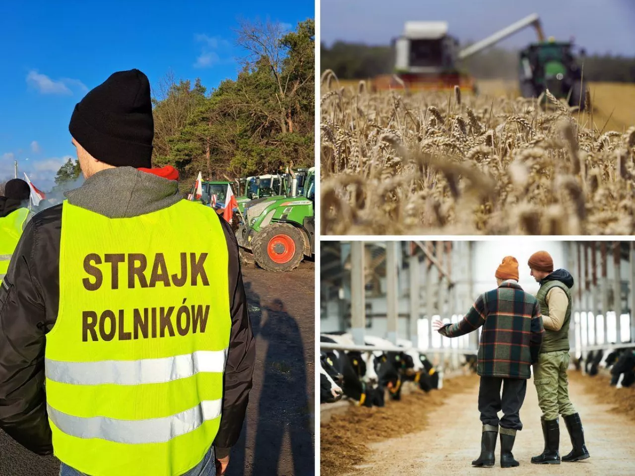 Awans o 10 miejsc! Rolnicy znów wśród najbardziej cenionych zawodów