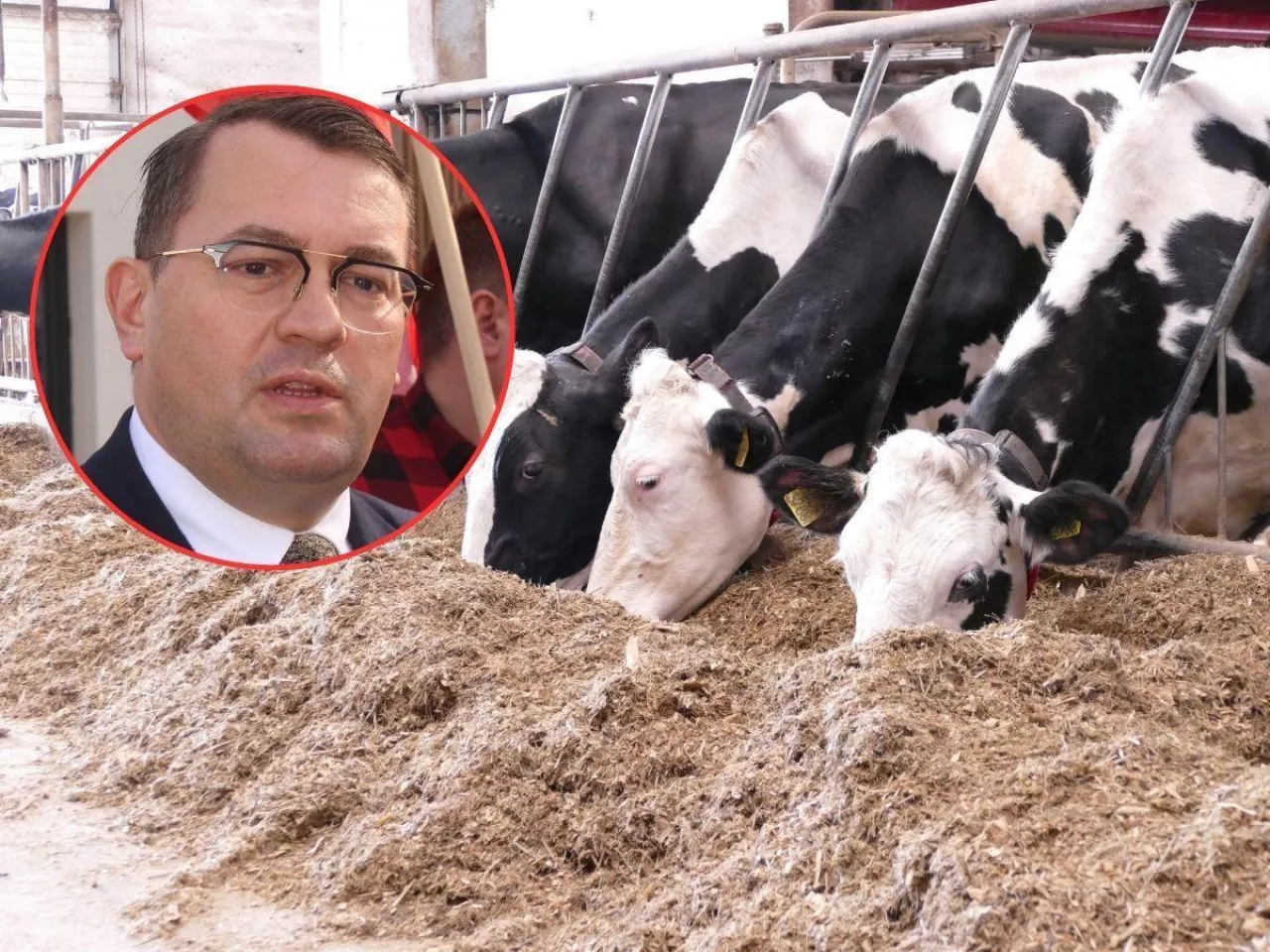 Dopłaty dla rolników ruszyły z kopyta. 250 mln zł już na kontach. Kiedy reszta?