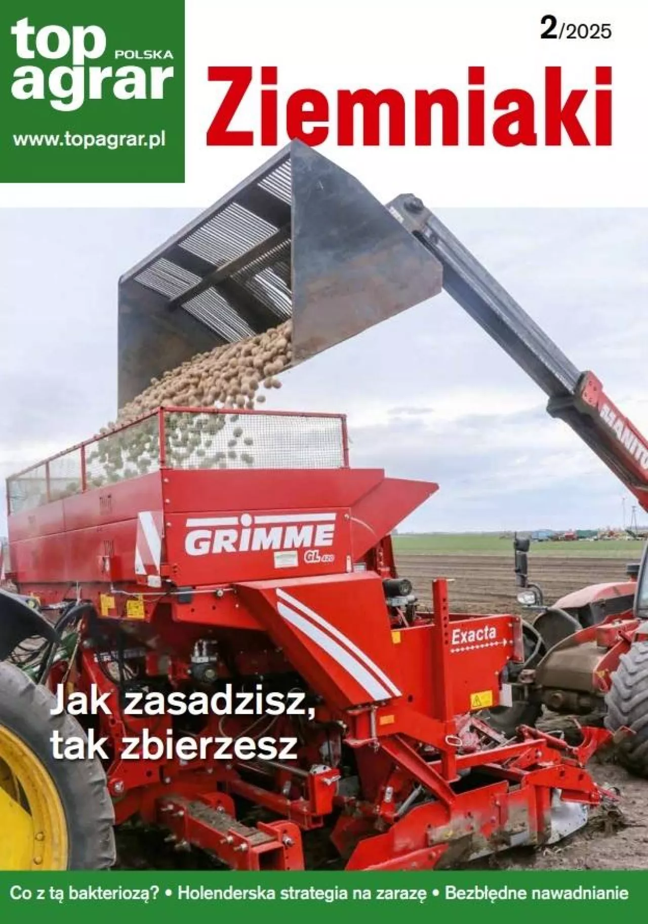 Ziemniaki 2/2025