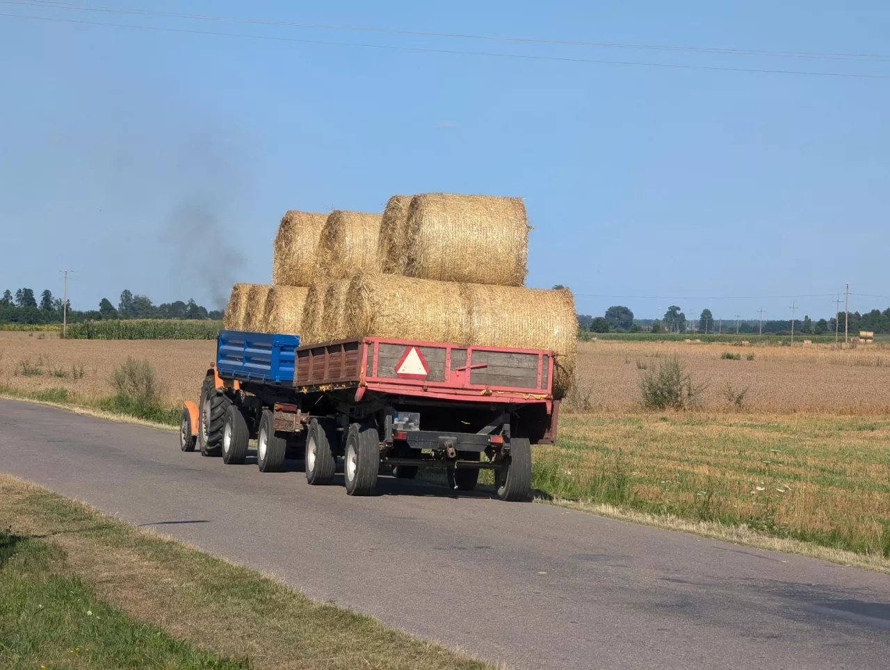 Do żniw pozostało jeszcze trochę czasu, a niektórym rolnikom kończą się zapasy słomy. Ile kosztuje słoma w kostce, a ile w balocie na koniec maja 2025 r.?