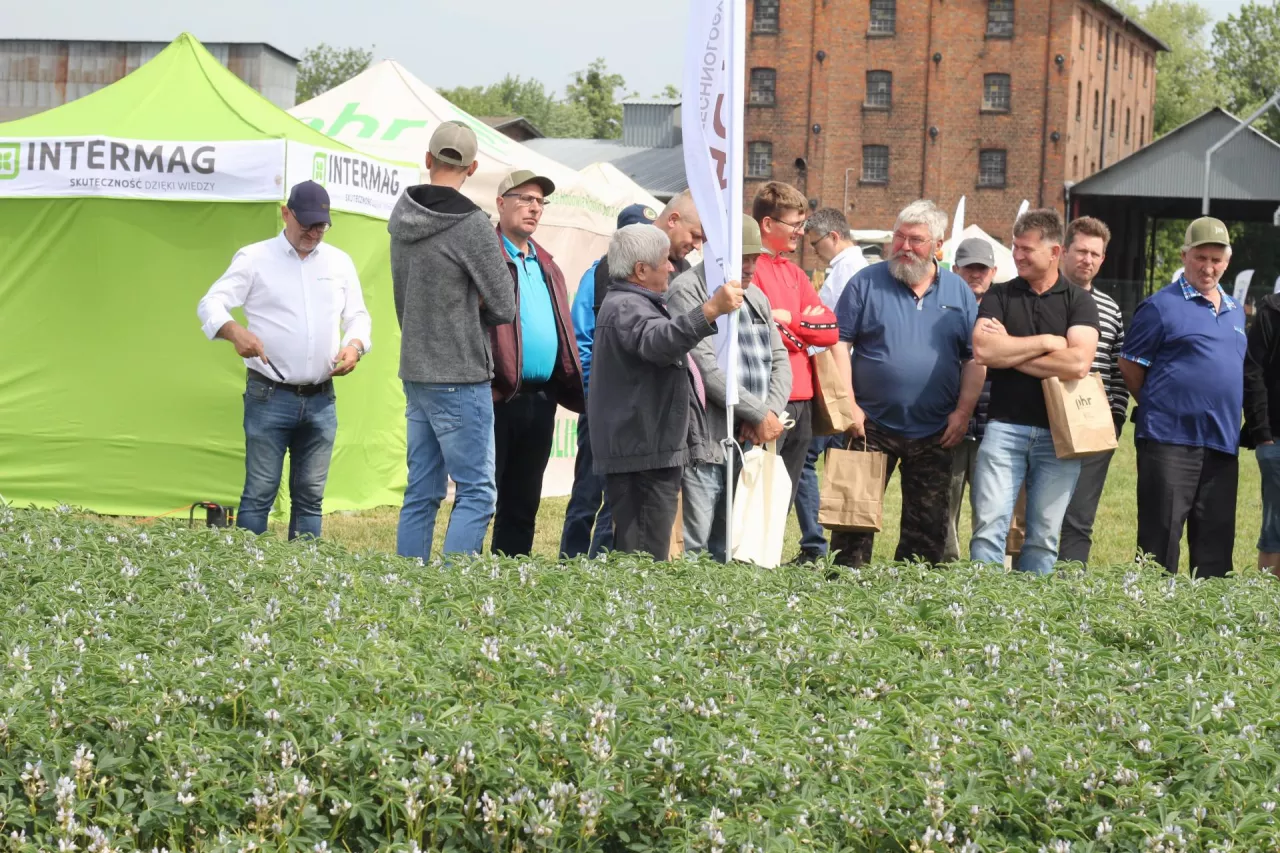 Dzień Pola Poznańskiej Hodowli Roślin w Nagradowicach 2025