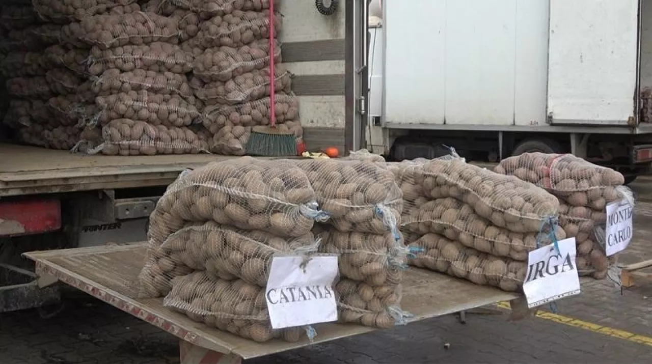 Ziemniaki z Belgii rozchwytywane na Broniszach. A polskie leżą i tanieją