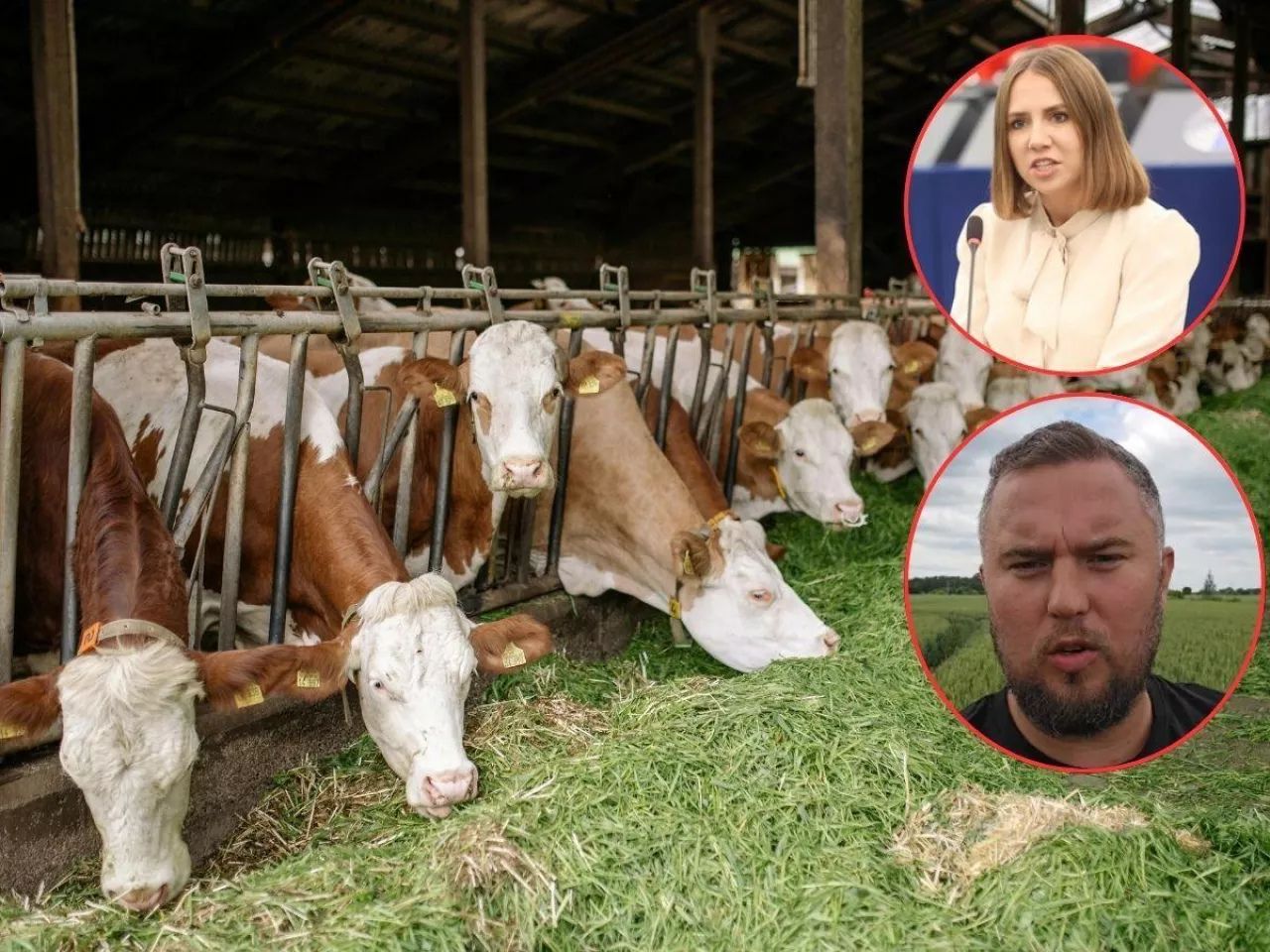 Rolnicy załamani nowym planem UE. ”Nawozy i paliwo drogie, a teraz jeszcze to?”