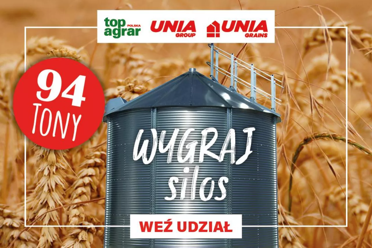 Baner Konkurs Silos 2