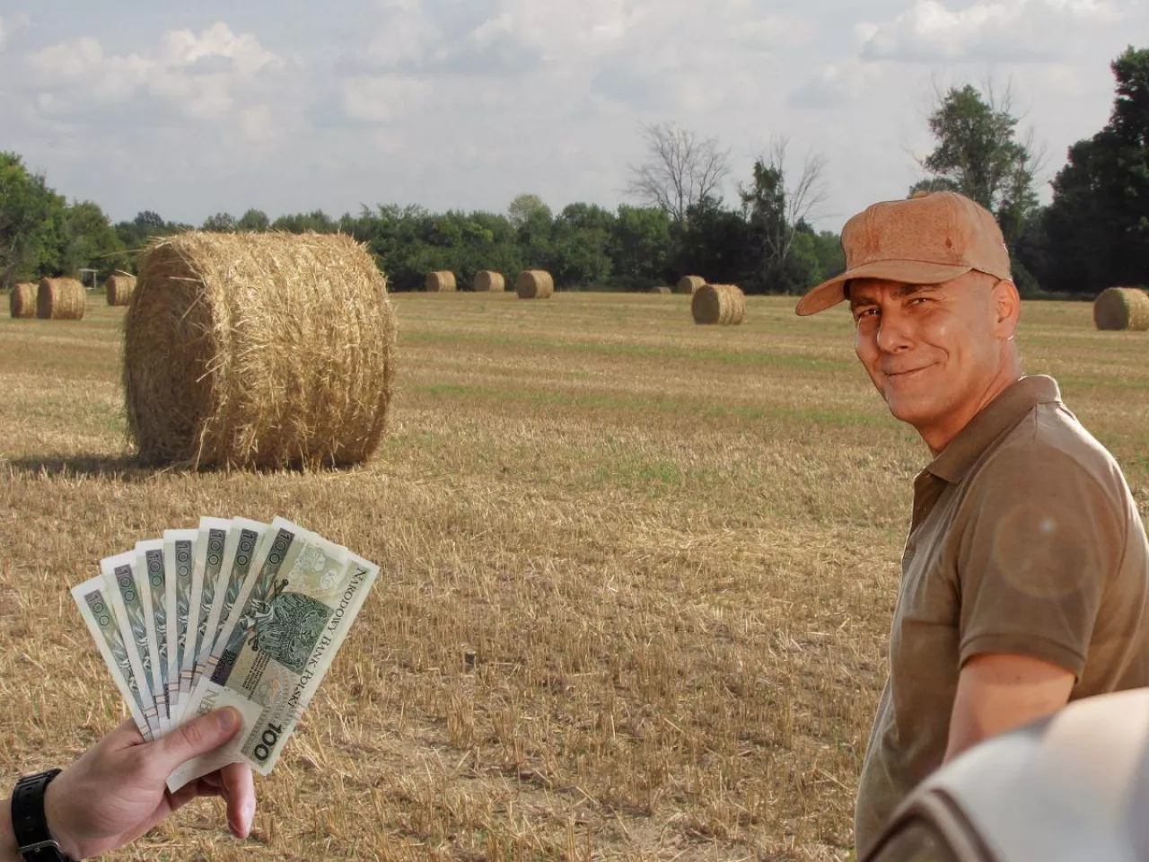 Ceny słomy ze żniw 2025: ile kosztuje bela?