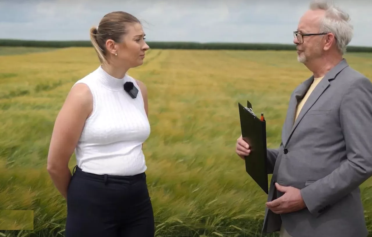 Nowe odmiany zbóż i traw. Co oferuje rolnikom Małopolska Hodowla Roślin?