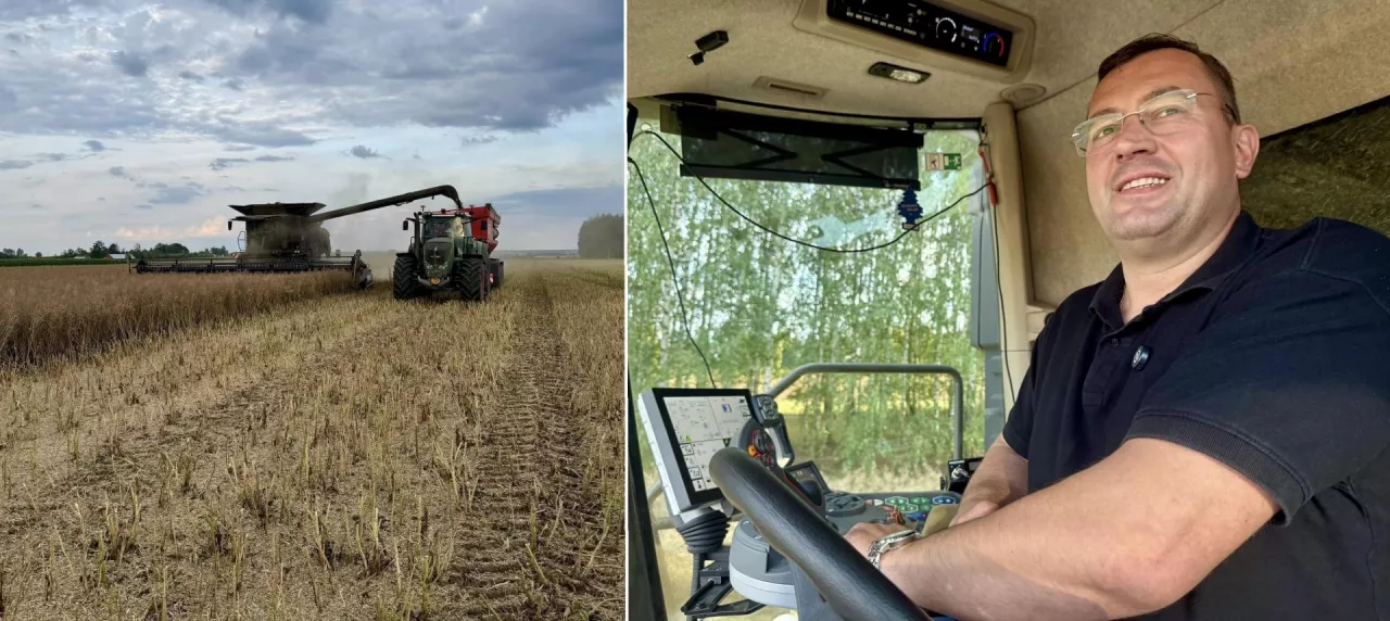 Rzepaczane żniwa w gospodarstwie państwa Ojdanów w powiecie hajnowskim. Za kierownica kombajnu minister Stefan Krajewski