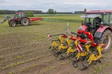 Jak skutecznie odchwaszczać mechanicznie i nie zaszkodzić roślinom pielenie kukurydzy pielnikiem pielenie kukurydzy brona chwastownikiem