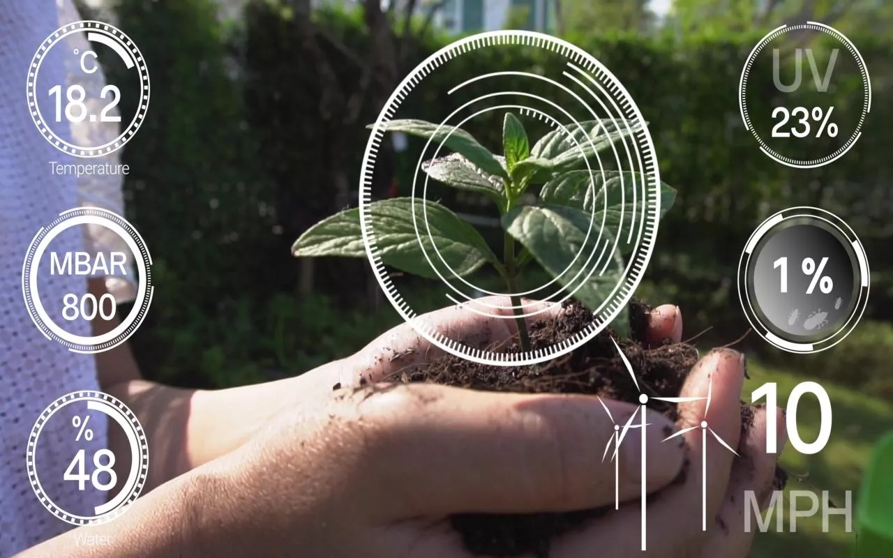 Technologia cyfrowego rolnictwa oparta na futurystycznym zbieraniu danych z czujników wspieranych przez sztuczną inteligencję. Koncepcja komputerowego wspomagania wzrostu roślin i zarządzania jakością upraw. Zdjęcie ilustruje ideę transformacji rolnictwa z wykorzystaniem nowoczesnych technologii.
 