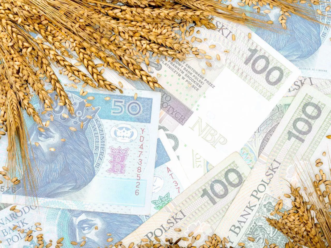 ARiMR wypłaca dopłaty do zakupu materiału siewnego. Ile pieniędzy wpłynęło dotychczas na konta wnioskujących?