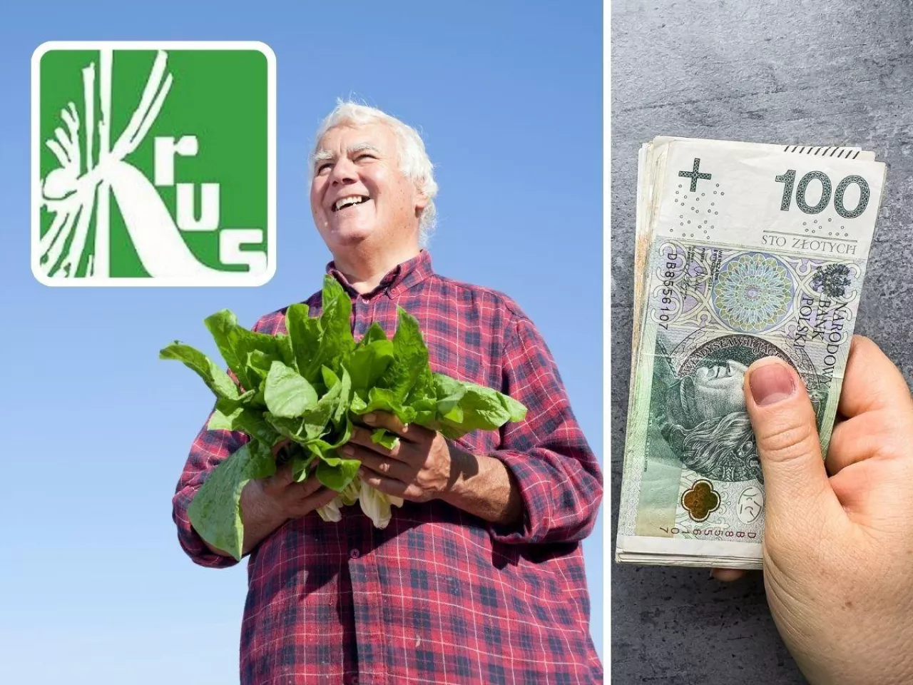 Renta chorobowa a prowadzenie gospodarstwa: jak nie stracić świadczenia?