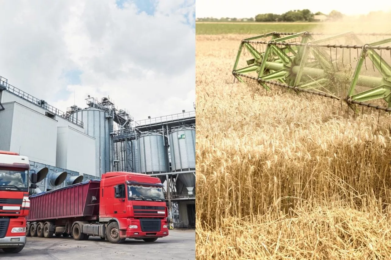 Ukraina, eksport, zboże, kombajn, silos, ciężarówki, rolnictwo, UE, handel, logistyka