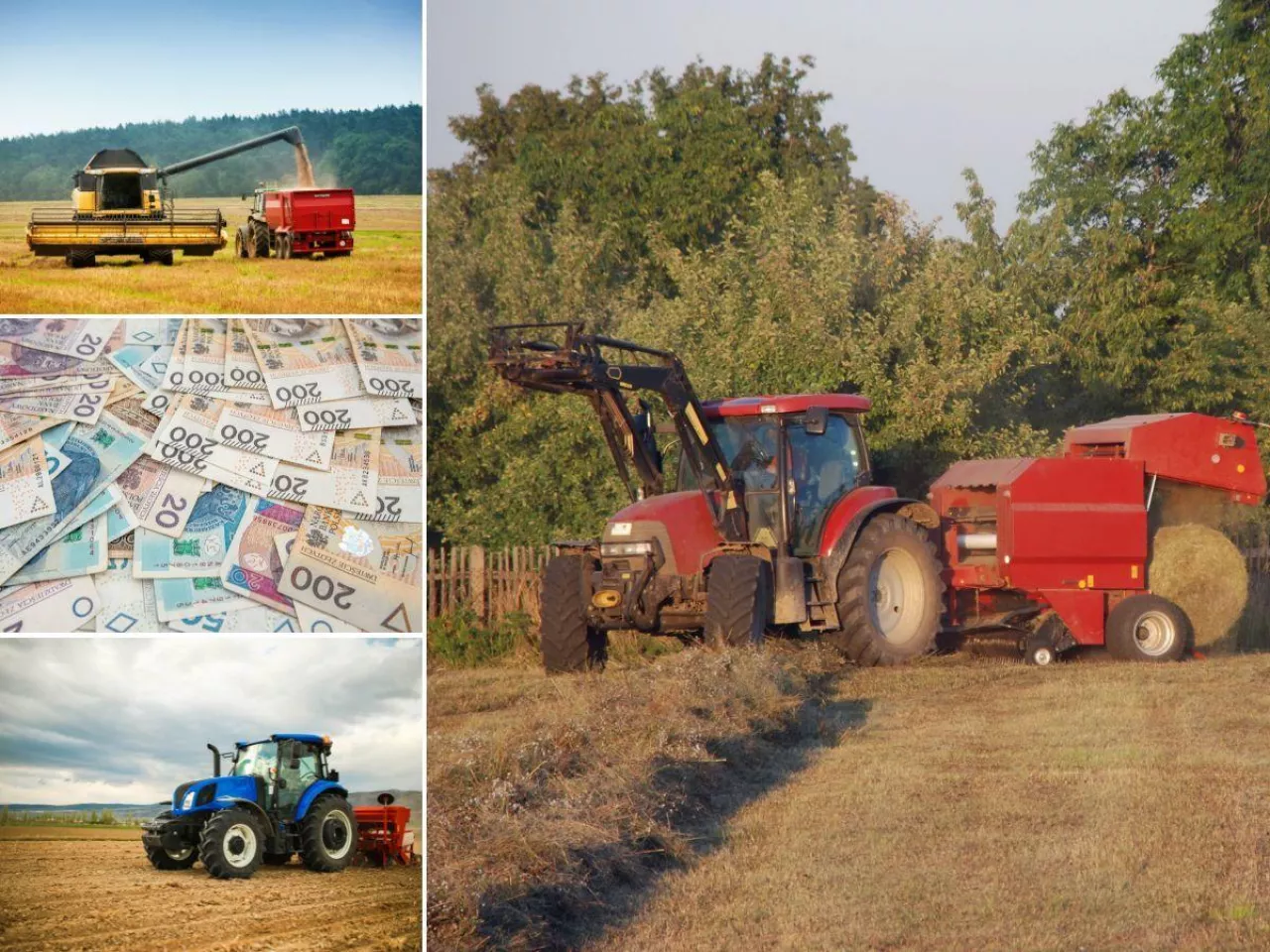 Jak zmieniały się ceny usług rolniczych 2021–2025?