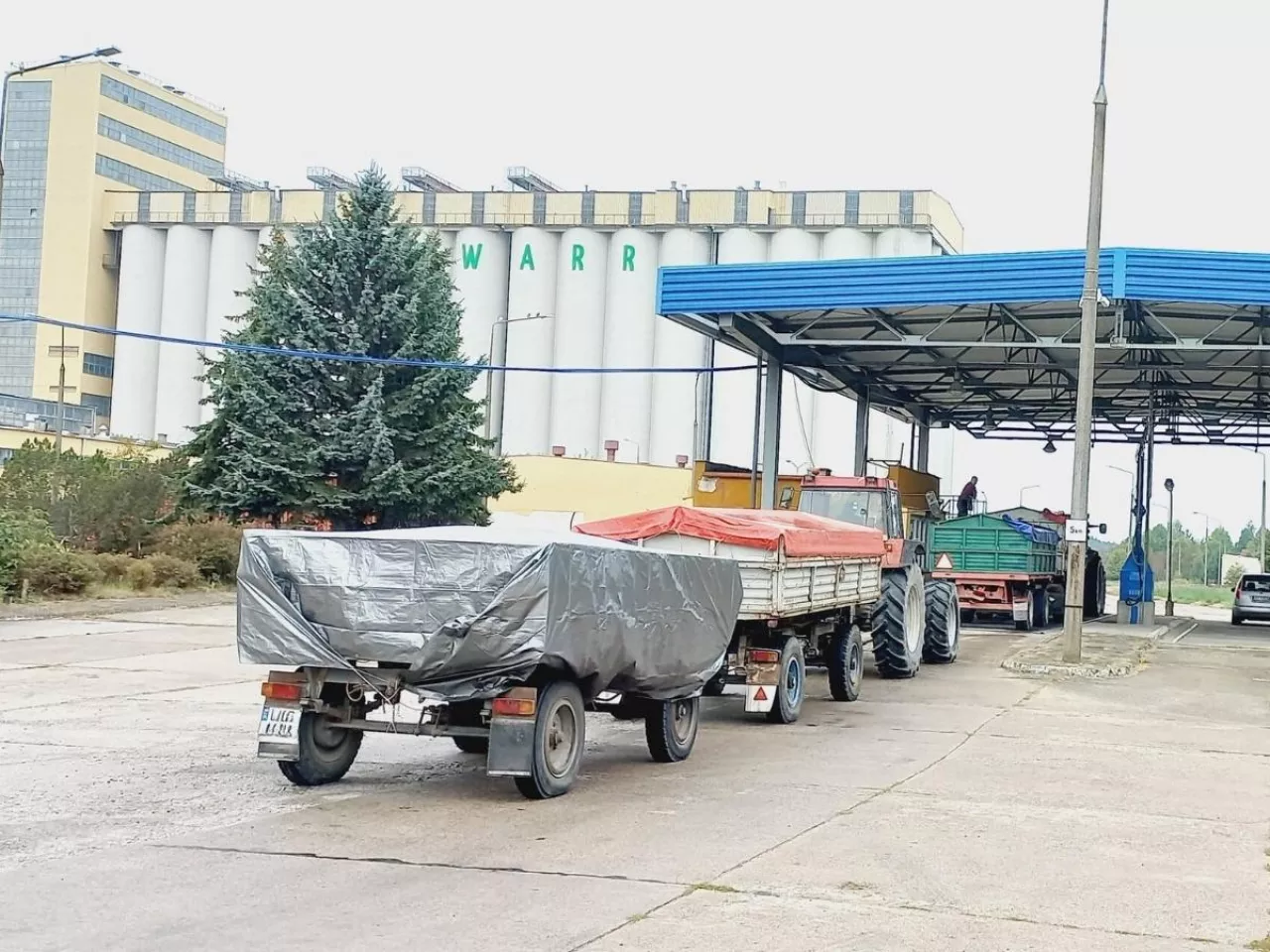 Elewarr zamyka skupy zbóż? Ministerstwo zapowiada działania