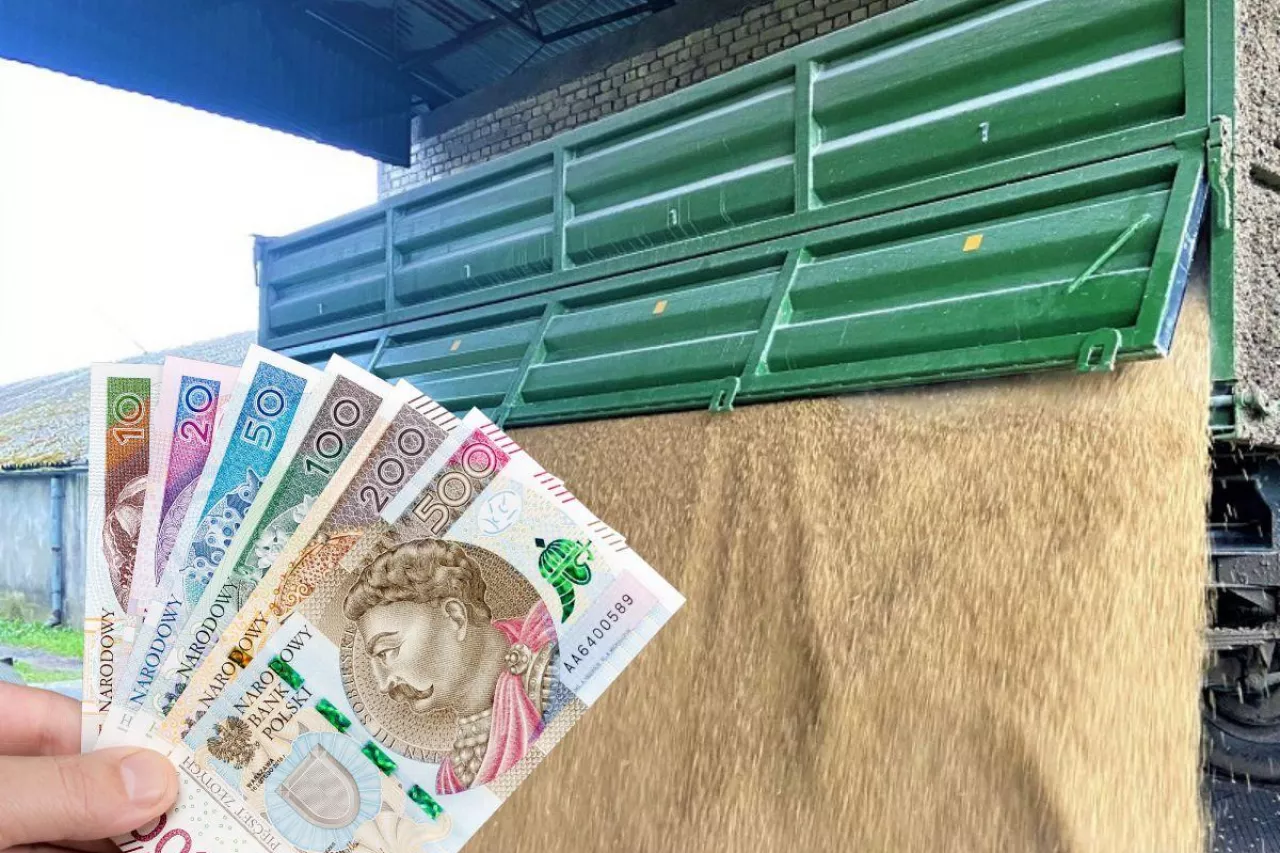 200 zł do tony zboża? W sieci zawrzało, rolnicy mówią wprost