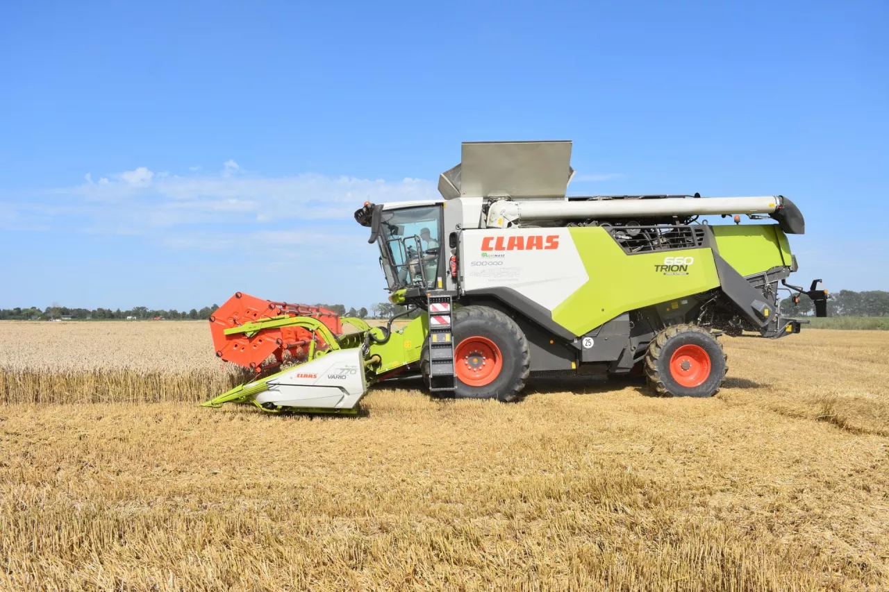 Kombajn Claas Trion 660 na polu podczas żniw
