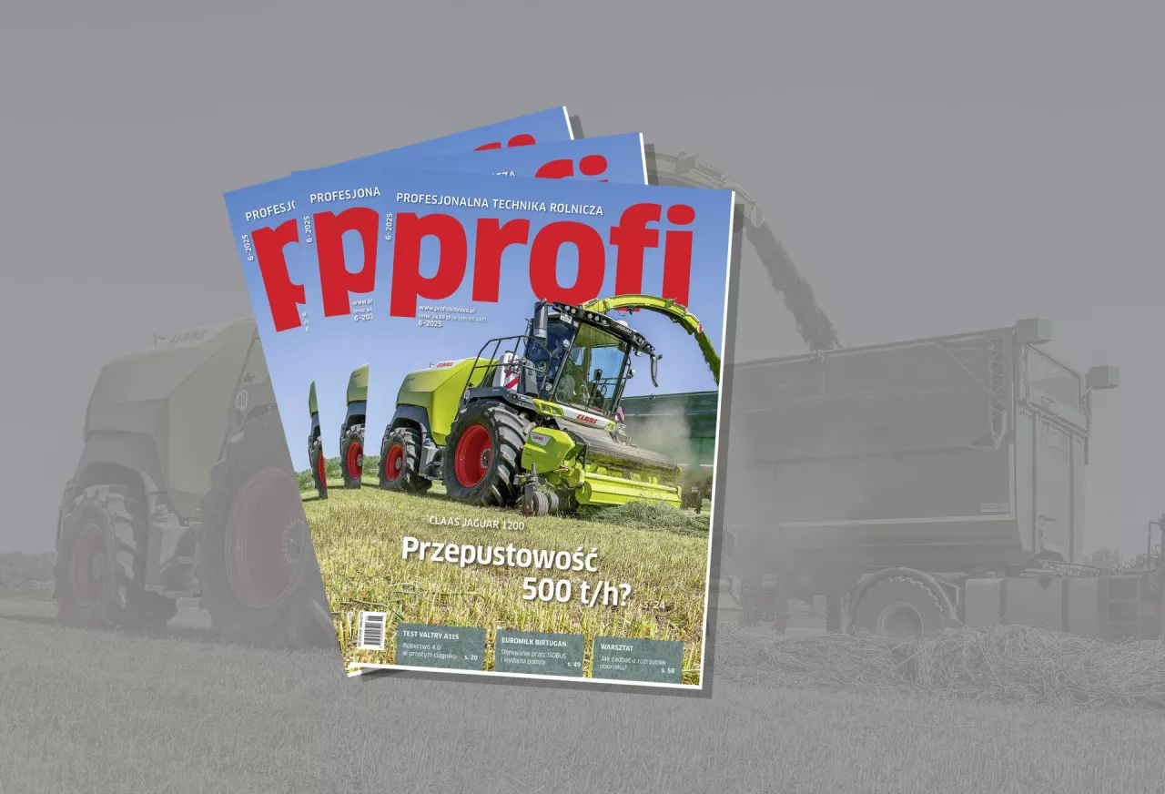 profi 6-2025