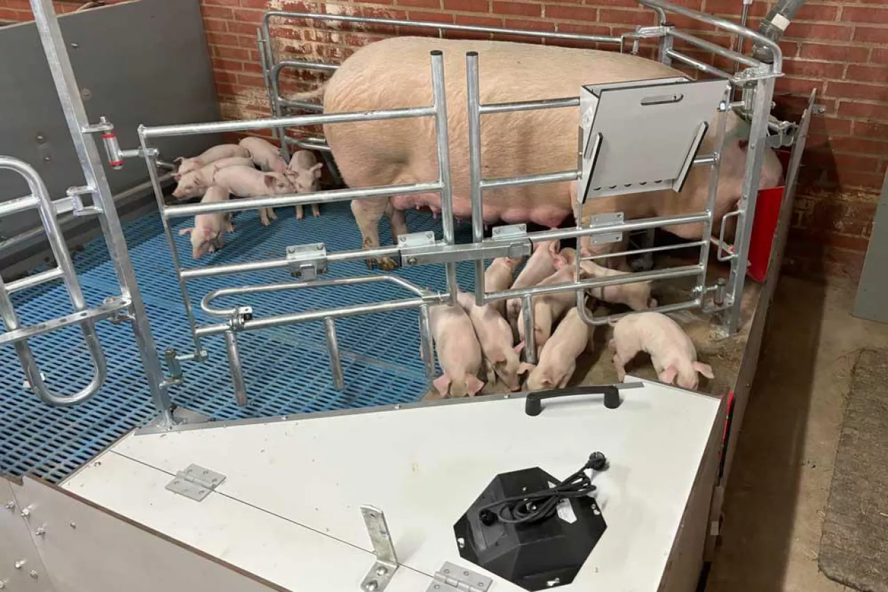 kojec porodowy bezjarzmowy FarrowComfort firmy aco funki 