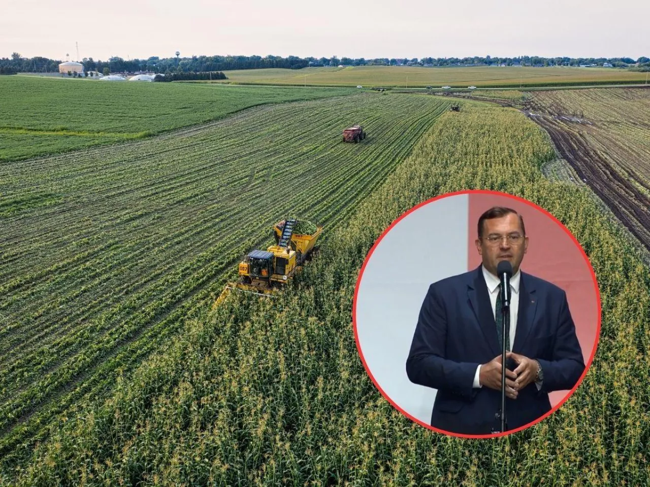 pole, twarz ministra rolnictwa