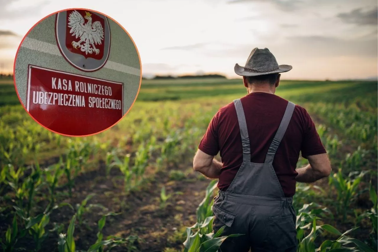 rolnik na polu stojący tyłem, logo KRUS po lewej na górze