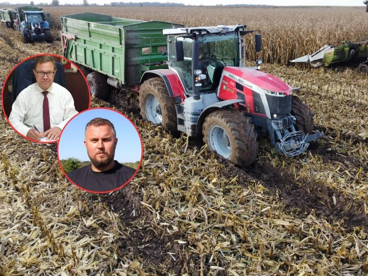 Dramat rolników z Żuław