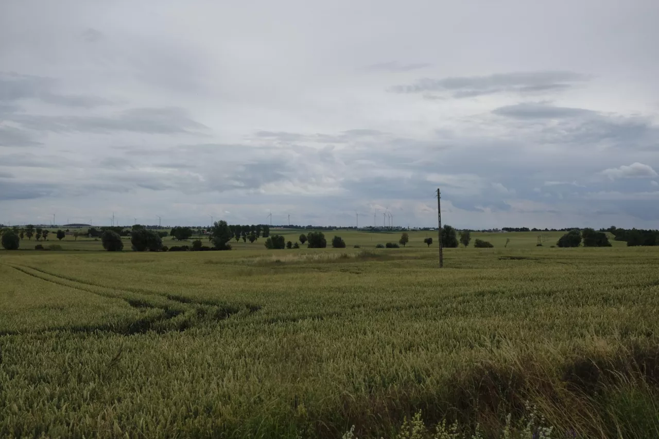 Sprzedaż certyfikatów węglowych może stanoiwić dodatkowe źródło dochodów gospodarstwa