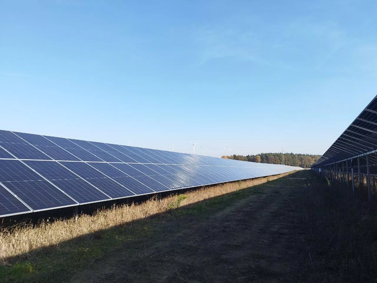 panele fotowoltaiczne na polu