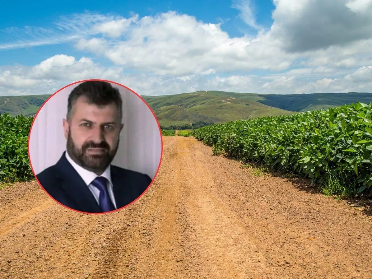 Brazylia, pole, twarz eksperta 