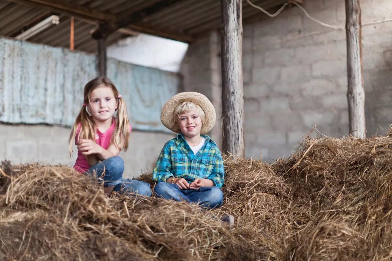Alarm demograficzny na wsi. Dane KRUS pokazują, jak szybko ubywa dzieci