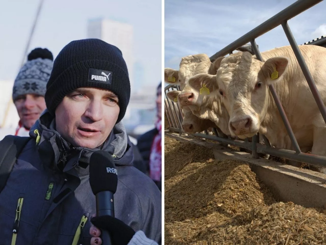 Rolnik z Opolszczyzny ostrzega przed skutkami Mercosuru