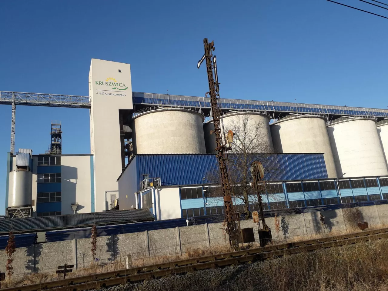 Zakład przerobu rzepaku Bunge Sp, z o.o, w Kruszwicy
