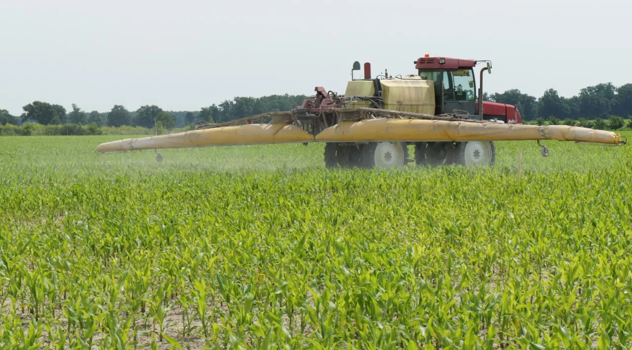 Jednym z pierwiastków poprawiającym efektywność azotu w nawożeniu kukurydzy jest cynk. Warto wykorzystać tę synergię, ale zadziała pod warunkiem wczesnej aplikacji cynku, jeżeli dolistnie, to w fazie 3–5 liści kukurydzy
