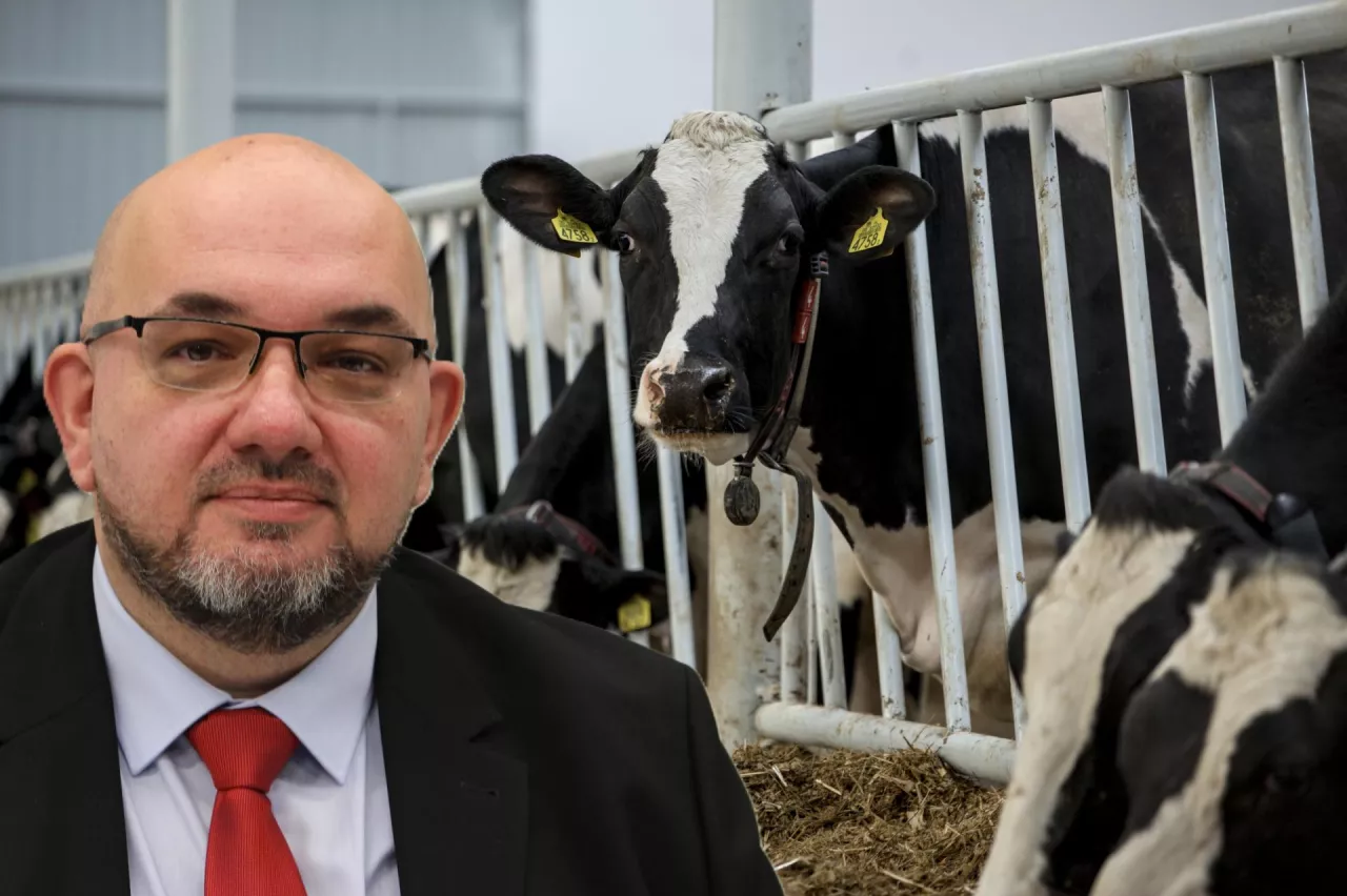 Decyzja Chin pojawia się w czasie, gdy globalny rynek mleka zmaga się z rosnącą podażą surowca oraz presją na ceny