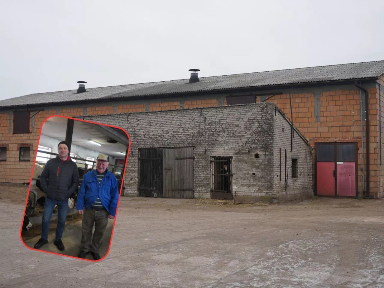  Pełna obora i trudne decyzje. Czy to ostatnie pokolenie mleczarzy?