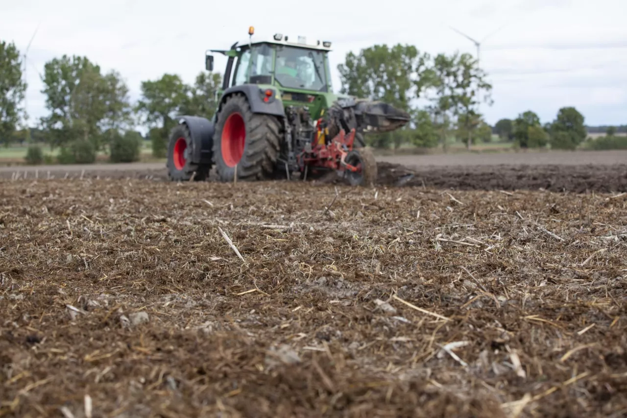 Orka i obornik na polu