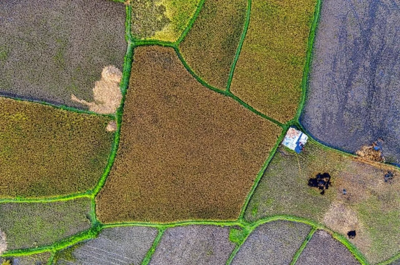 rolnictwo precyzyjne