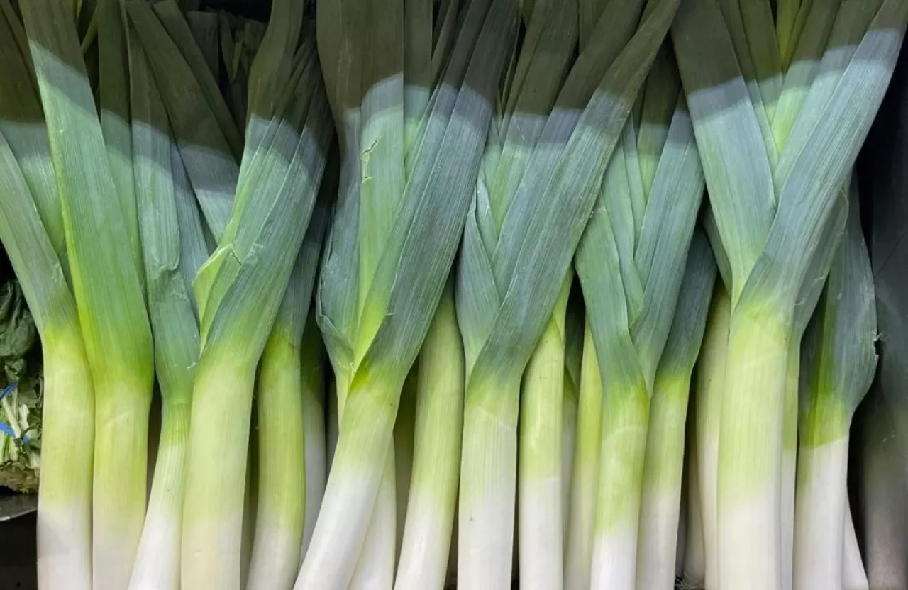 uprawa pora, por, rynek pora