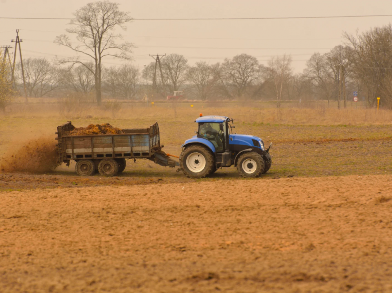 Kończy się czas na wywóz obornika 2025. Sprawdź, do kiedy możesz nawozić