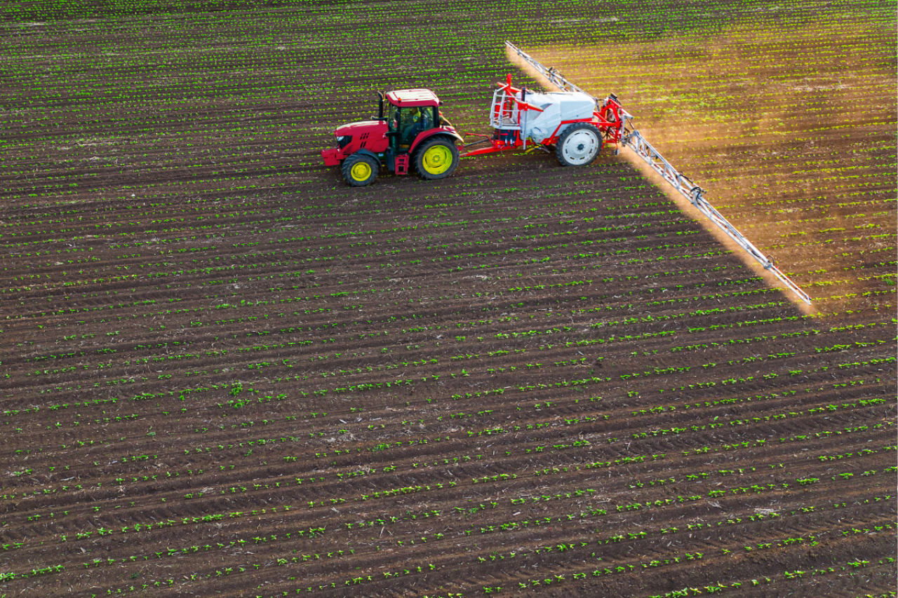 Ciągnik z opryskiwaczem wykonujący oprysk młodej uprawy