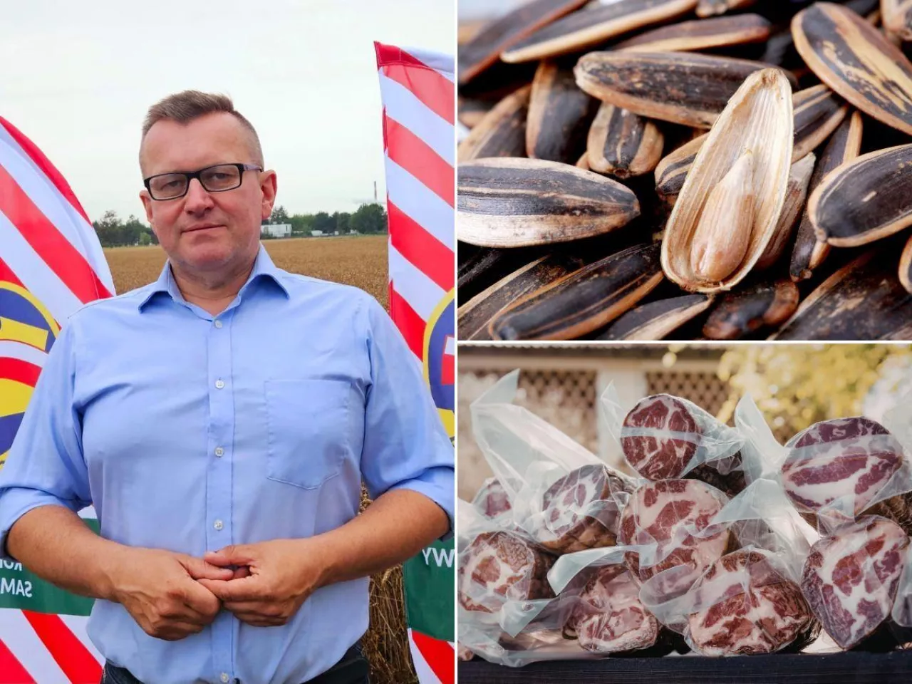 Słonecznik z wołowina z Mercosur