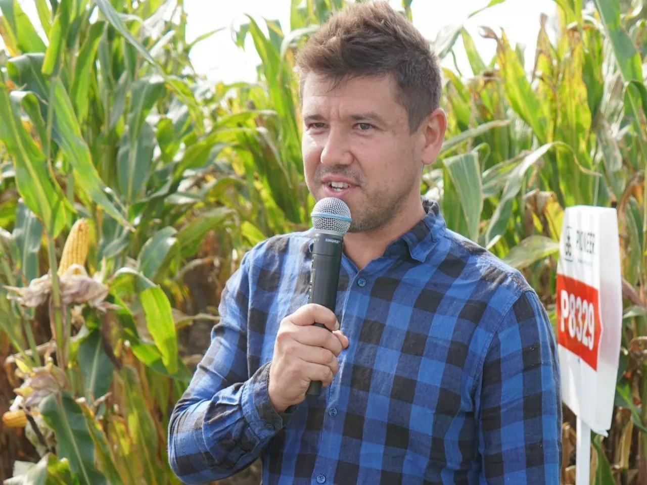 Kukurydza zawiodła mimo ”bezpiecznego” terminu. Rolnicy zaskoczeni