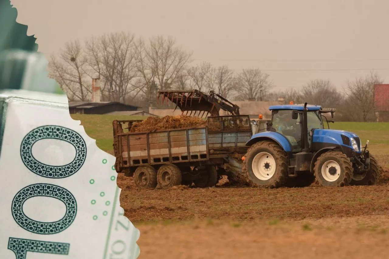 Nawet 100 zł za obornik! Jakie są ceny obornika w Polsce?