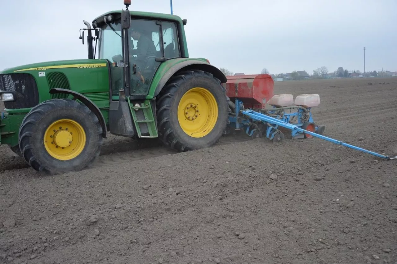 Siew kukurydzy; kukurydza, siewnik