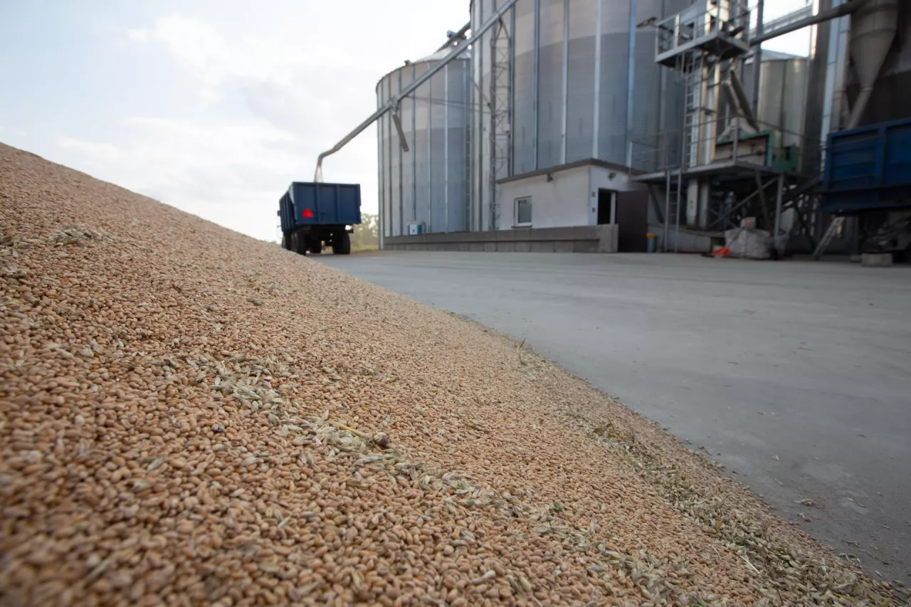 Pryzma pszenicy przy silosie zboża