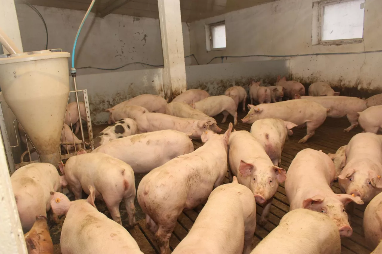 reportaż janusz terka