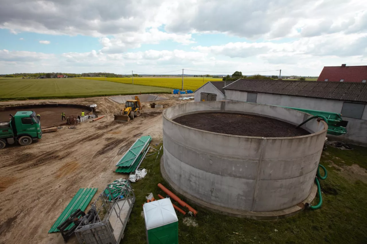 gnojowica, gnój, nawożenie, obornik, kukurydza